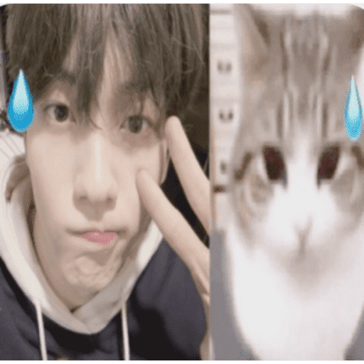 Sood x donghyeon 🐰🐰 2