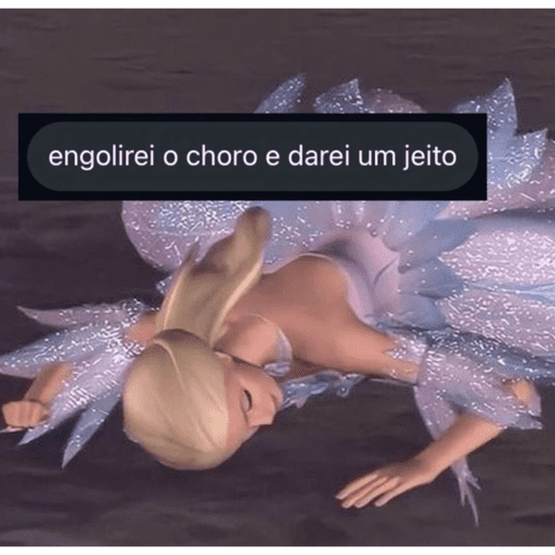 Minhas figurinhas 13