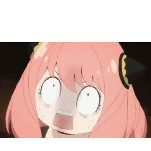 Jajaja 6