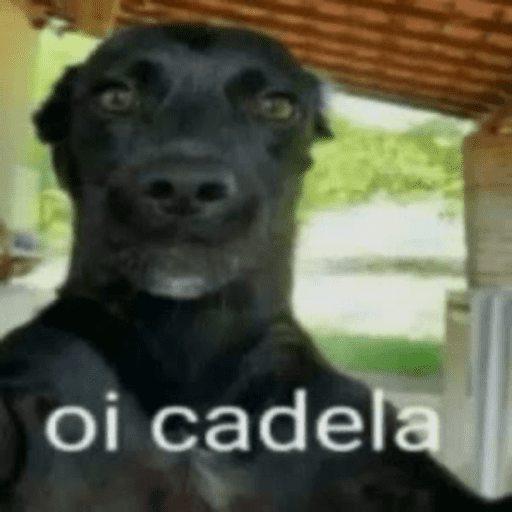 Se louco dog não compensa 9