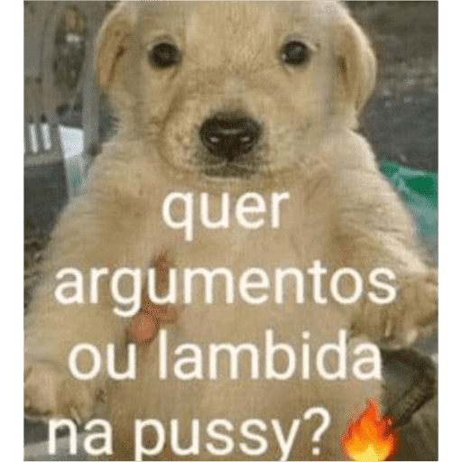 Se louco dog não compensa 2