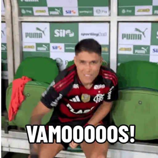 MENGO 7