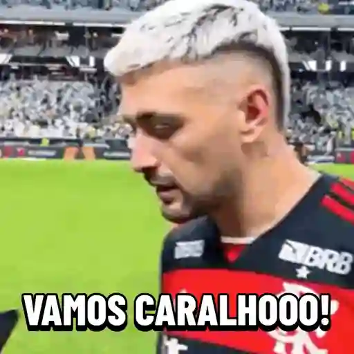 MENGO 14