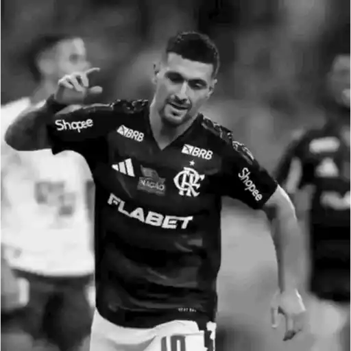MENGO 12