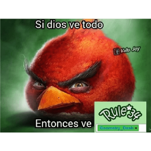 Que viva los completos 22