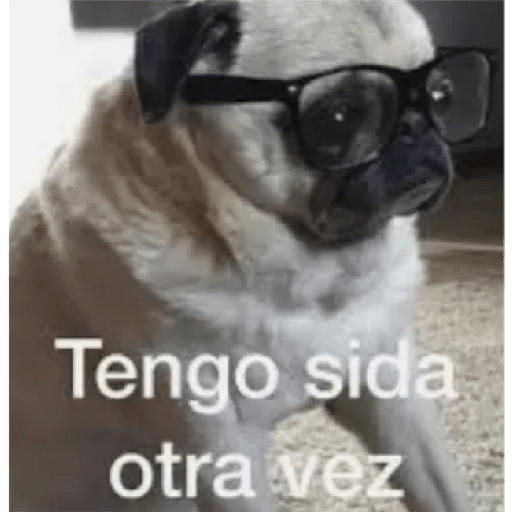 Que viva los completos 2