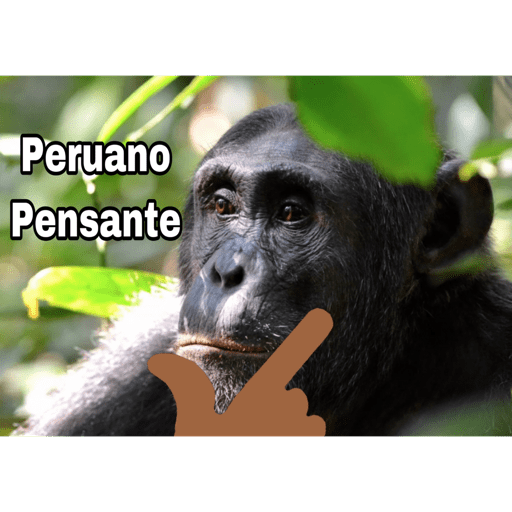 Peruanos 🐒 11