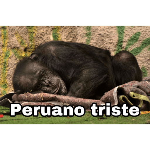 Peruanos 🐒 24