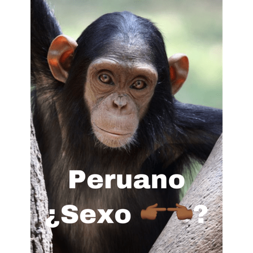 Peruanos 🐒 12
