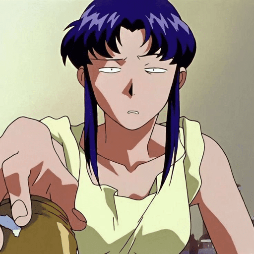 Misato evangelion' ! 💜 29
