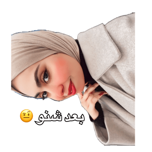 Sticker Image