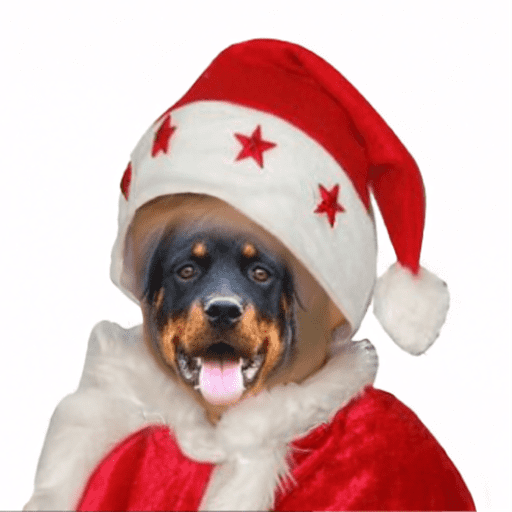 Natal com os dogs  3