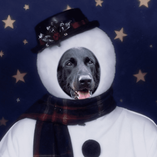 Natal com os dogs  4