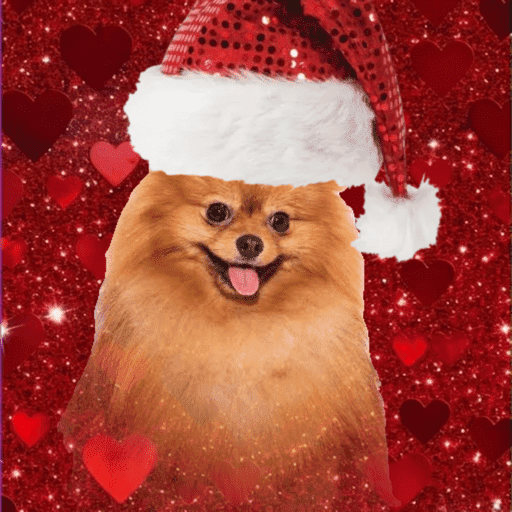 Natal com os dogs  16