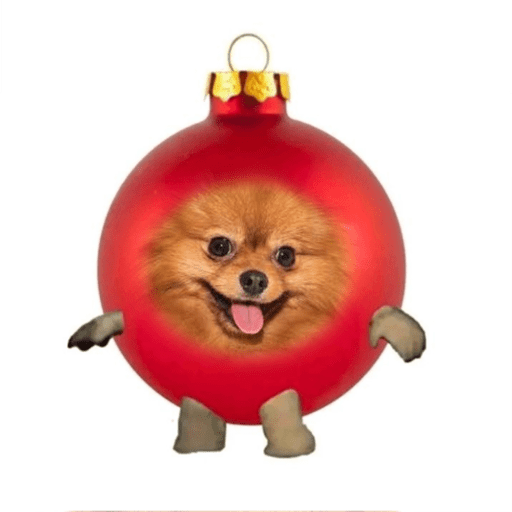 Natal com os dogs  5