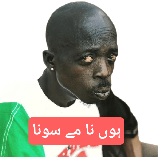 کامران مغيري کا ليب 11