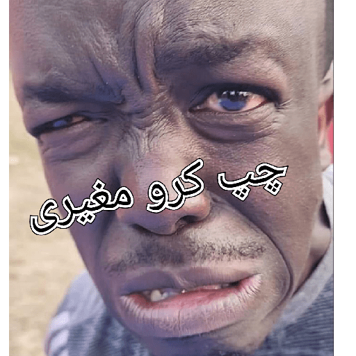 کامران مغيري کا ليب 12