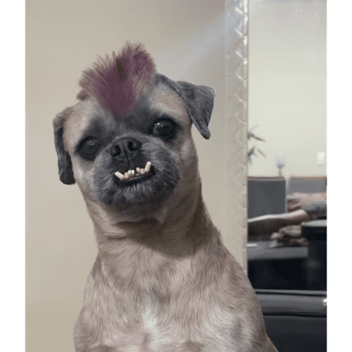 | Meme sticker • ＠eairenann | 8