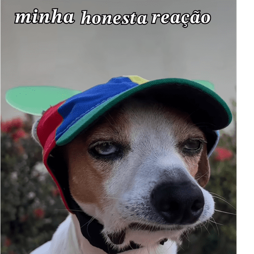 | Meme sticker • ＠eairenann | 14
