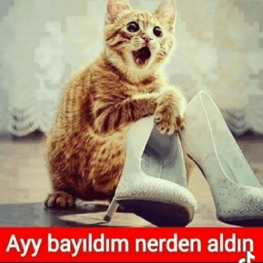 çelün 9