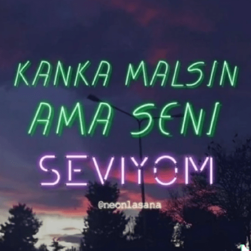 çelün 12
