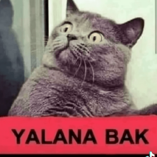 çelün 8