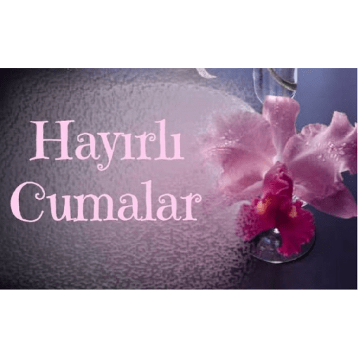çelün 15