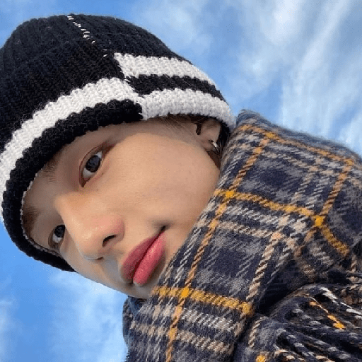 (  @porrazac  )  :  Hyunjin. 6