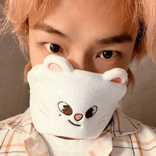 (  @porrazac  )  :  Hyunjin. 3