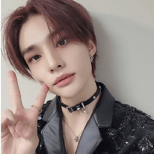(  @porrazac  )  :  Hyunjin. 9