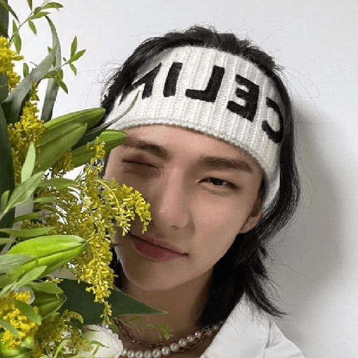 (  @porrazac  )  :  Hyunjin. 7