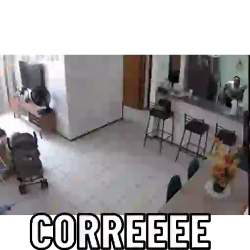 Amigos do zé 6