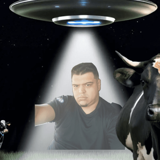 Memes bor 6