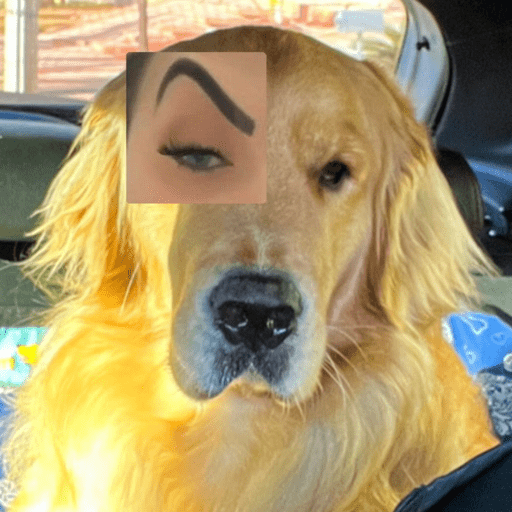 955b0f6f-399c-4636-9344-38c5d29e3d7c.png