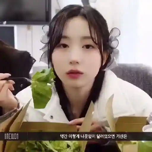 -Haewon W. lili 8