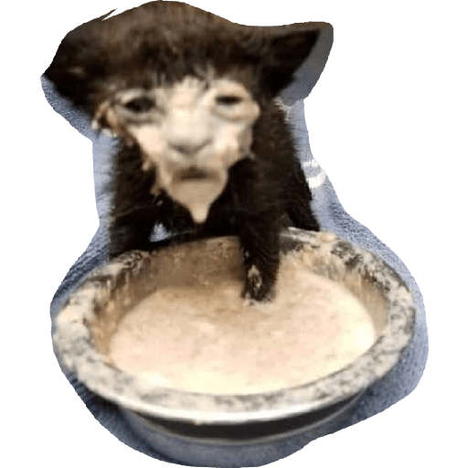 Uy quieto 3