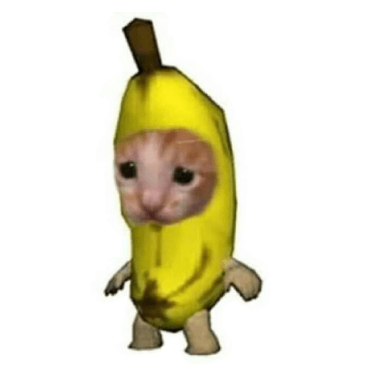 Uy quieto 5