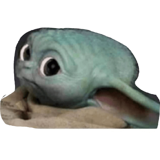 Uy quieto 4