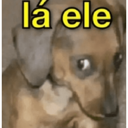 MEMES PHODAS PT2 13