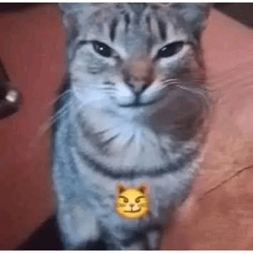 Hehehe 25
