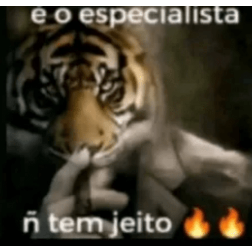 Hehehe 5