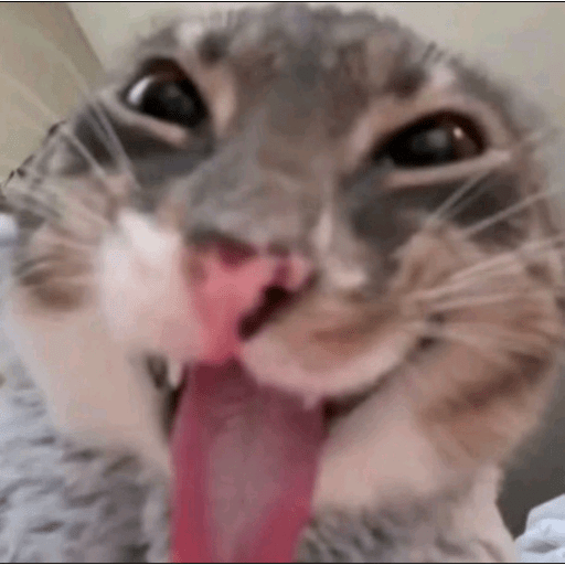 Hehehe 1