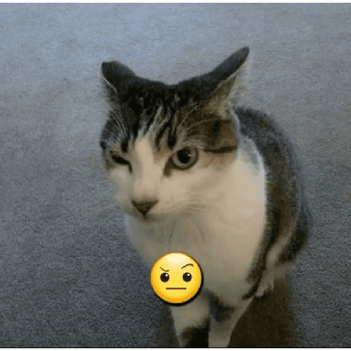 GATOS/CATS 18
