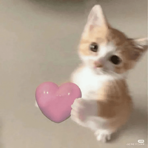 GATOS/CATS 22