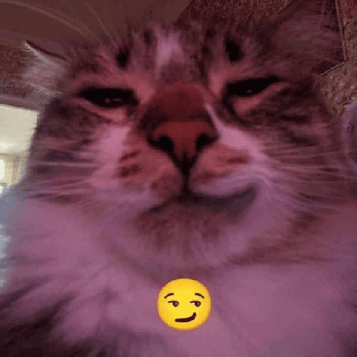 GATOS/CATS 24