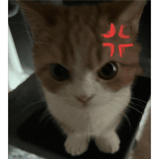 GATOS/CATS 26