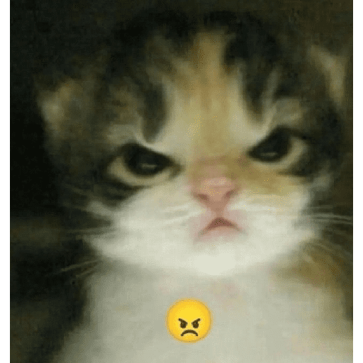 GATOS/CATS 4