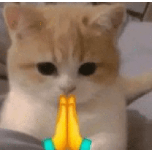 GATOS/CATS 6
