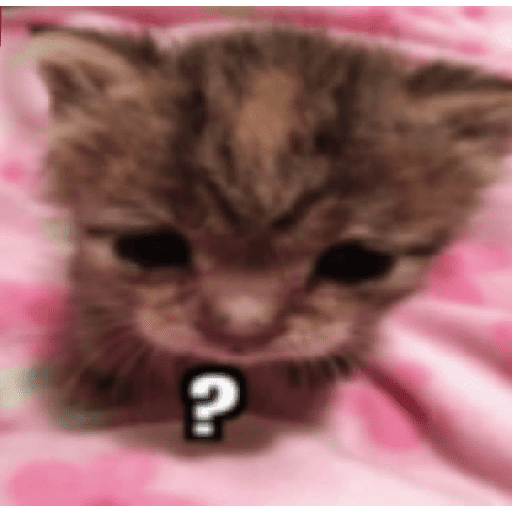 GATOS/CATS 7