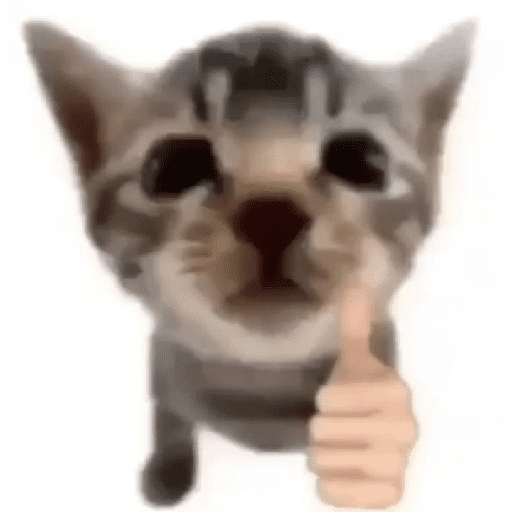 GATOS/CATS 8